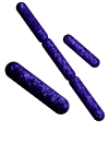 Lactobacillus image